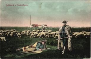 Hortobágy, Juhászok a Hortobágyon, magyar folklór. D.K. Bp. 1906.-1288.