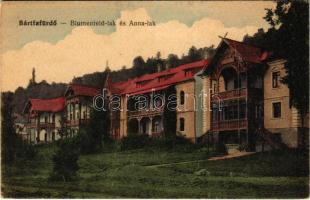 Bártfa, Bártfafürdő, Bardejovské Kúpele, Bardiov, Bardejov; Blumenfeld és Anna lak. Neumann Viktor kiadása / street, villas