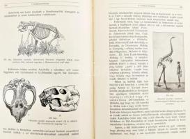 Walther Johannes: A föld és az élet története. Ford. és újabb képekkel kiegészítette: Dr. Gorka Sánd...