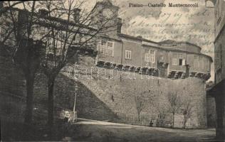 Pazin Castle Montecuccoli (EK)