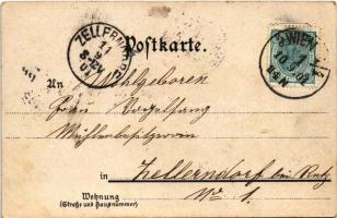 1901 Holland / The Netherlands. Nationalitäten-Postkarten Serie 50. Dess. winter sport, sledding. Ar...