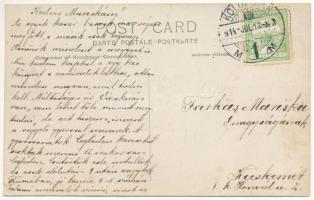 1914 Kolozsvár, Cluj; csoportkép / group photo