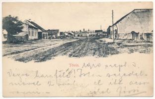 1910 Tövis, Teius; utca / street view (EK)