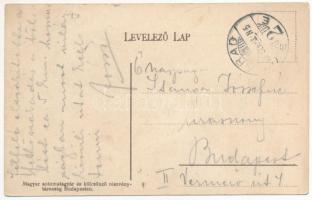 1910 Tövis, Teius; utca / street view (EK)