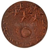 DN &quot;Pártmunkáért&quot; egyoldalas öntött bronz emlékérem eredeti, sérült tokban (74mm) T:XF patina