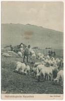 1917 Fogarasi-havasok (Kárpátok), Siebenbürgische Karpathen, Muntii Fagarasului; Am Stefiesti / erdélyi folklór, juhász / Transylvanian folklore, shepherd (EK)