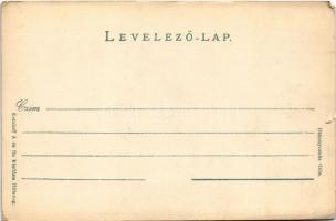 Kernyesd, Carnesti; Gróf Thoroczkay kastély (lebontották). Kendoff A. és fia kiadása / castle (demol...