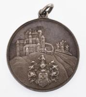 krasznahorkai Andrássy család ezüst (Ag), medál a családi címerrel és Krasznahorka várának képével 6...