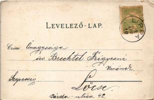 1903 Lippa, Lipova; Solymosi vár, Máriaradna. Gregor Fischer kiadása / Cetatea Soimos / castle ruins...