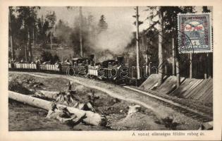 WW. I. on enemy field