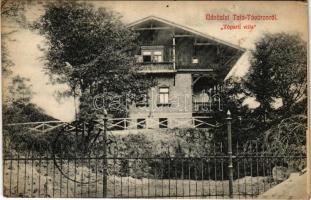 1913 Tata-Tóváros, Tatatóváros; Tóparti villa (EK)