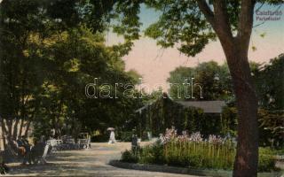 Csízfürdő park (b)