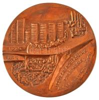 1975. Felszabadulásunk emlékére - A csepeli tanács - 1945-1975 egyoldalú öntött bronz plakett, eredeti viseltes dísztokban (117mm) T:UNC,AU