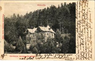 1904 Stószfürdő, Stoósz-fürdő, Kúpele Stós; Mária villa. Wlaszlovits Gusztáv kiadása / villa (fl)