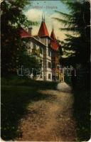 1914 Iglófüred, Spisská Nová Ves Kupele, Novovesské Kúpele; Hungária villa. Wlaszlovits Gusztáv kiadása / villa (lyuk / pinhole)