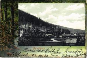 1912 Iglófüred, Bad Zipser Neudorf, Spisská Nová Ves Kupele, Novovesské Kúpele; fürdő látképe. Wlaszlovits G. kiadása. Szecessziós erdős keret / spa. Art Nouveau forest frame