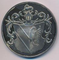 1997. "Szeged 750 éve város 1247-1997" ezüstözött bronz emlékérem peremen gravírozással (6...