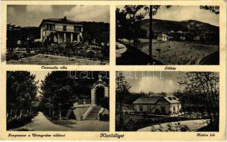 1937 Klotildliget (Piliscsaba), Csizmadia villa, látkép, Fenyvessor a Weingruber villával, Katica lak (EK)