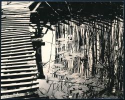 cca 1979 Dr. Müller Sándor: Kontrasztok című vintage fotóművészeti alkotása, feliratozva, ezüst zselatinos fotópapíron, 13,6x17,2 cm