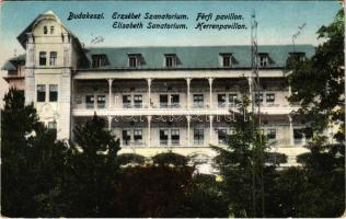 1929 Budakeszi, Erzsébet szanatórium, férfi pavilon (EK)