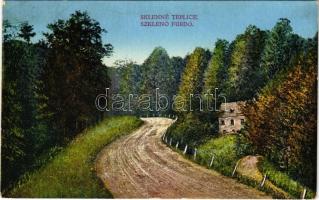 1931 Szklenófürdő, Sklené Teplice; út / road