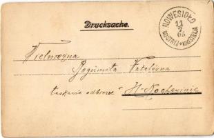 1905 Nowe Selo, Nowe Siolo kolo Stryja, Neudorf bei Stryj; kézzel festett / haind painted (EK)