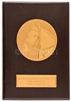 1995. "Országos Rendőrfőkapitányság Lovasbajnokság Somogysárd 1995" aranyozott lovasport emlékplakett fa talpon T:AU