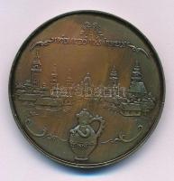 1984. &quot;Hódmezővásárhely / Szeged Tourist&quot; bronz emlékérem (42,5mm) T:UNC patina