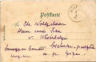 1901 Wolfsegg am Hausruck, Kohlgrube, Marktplatz. Karl Schwidernoch Art Nouveau, floral, litho (Rb)