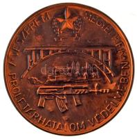 DN &quot;Veszprém Megyei R.F.K. (Rendőr Főkapitányság) Proletárhatalom Védelmében&quot; bronz lemezplakett, plexi hasábon, dísztokban (96x96mm) T:AU