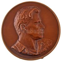 Szovjetunió DN &quot;Vlagyimir Vlagyimirovics Majakovszkij&quot; bronz plakett, hátoldalon asztali kitámasztóval és akasztóval (115mm) T:UNC,AU Soviet Union ND &quot;Vladimir Vladimirovich Maiakovsky&quot; bronze plaque with desk standee and wall hanger on the backside (115mm) C:UNC,AU