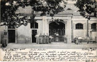 1900 Pöstyén, Piestany; Ivókút / Trinkbrunnen / drinking well (EK)