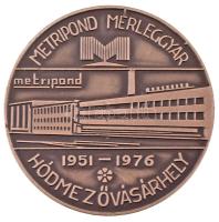 1976. &quot;25 éves a hódmezővásárhelyi Metripond mérleggyár&quot; ezüstpatinázott fém emlékérem (59mm) T:UNC,AU