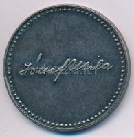 2005. "József Attila 1905-2005" fém emlékérem (42,5mm) T:AU