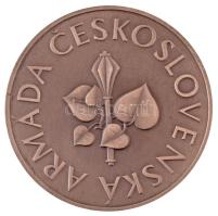 Csehszlovákia "Csehszlovák Hadsereg" ezüstpatinázott, kétoldalas bronz plakett, dísztokban...