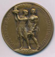 Sződy Szilárd (1878-1939) 1935. &quot;Magyar Főiskolai Sportegyletek Egyesülése - 1907&quot; egyoldalas bronz díjérem, &quot;LUDVIG&quot; gyártói jelzéssel, hátoldalán &quot;1935 Húsvét&quot; gravírozással (40mm) T:AU