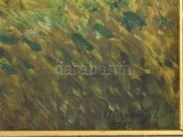 Murányi Imre (-): Lébényi táj. Olaj, farost. Jelzett. Hátoldalán autográf felirattal. XIX. sz. Dekor...