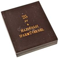 DN "Hajdu" festett egyoldalas plakett + "25 év - Hajdu" műgyantás jelvény, "...