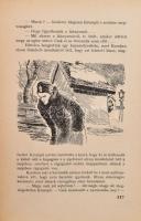 Szegváry Mihály: Keraban meg a többi vasfejű. Szűr-Szabó József rajzaival. 153p. Kiadói félvászon kö...