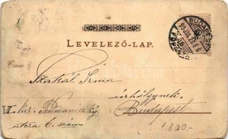 1899 (Vorläufer) Budapest, Üdvözlet típusokkal. Eisler G. kiadása, Art Nouveau, floral, litho (fa)