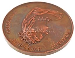 Osztrák-Magyar Monarchia / Bécs 1867A "I. Ferenc József és Erzsébet királyné budai koronázására...