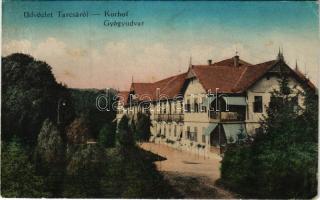 1917 Tarcsafürdő, Bad Tatzmannsdorf; Gyógyudvar / Kurhof / spa (EK)