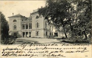 1903 Enyicke, Abaúj-Enyiczke, Haniska (pri Kosiciach); Wesselényi kastély. Nyulászi Béla kiadása / castle (fl)