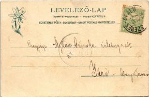 1905 Nedec, Niedzica (mai Lengyelország, Magas-Tátra); Nedecz vár. Feitzinger Ede No. 364. 1902/12 /...