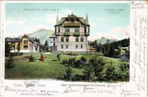 Tátrafüred, Ótátrafüred, Bad Altschmecks, Stary Smokovec (Magas-Tátra, Vysoké Tatry); villa, a háttérben a Schlagendorfer és a Lomnici csúcs. F. Pietschmann kiadása / villa, mountain peaks (EK)