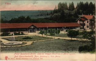 1907 Felsőzúgó-fürdő, Ruzsbachfürdő, Bad Ober Rauschenbach, Kúpele Vysné Ruzbachy; Fürdőház és Mária nyaraló, szökőkút. Kiadja Feitzinger Ede 1905 No. 928 / spa, villa, bathhouse