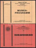 cca 1930 2 reklám prospektus, Csécs és Tsa., Műszaki- és Olajkereskedelmi Társaság és Bora Pneumatikus és Bányagép K.T., 4 sztl. oldal