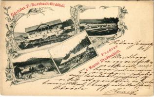 1901 Felsőzúgó-fürdő, Ruzsbachfürdő, Bad Ober Rauschenbach, Kúpele Vysné Ruzbachy; mozaiklap, nyaralók / multi-view postcard, villas. Art Nouveau, floral (EK)