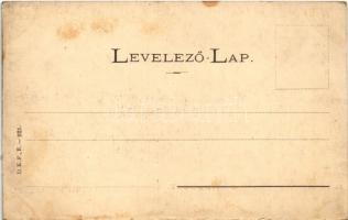 Balatonkenese, a Balaton halászata, halászhajók. D.K.F.E. 921. (fl)