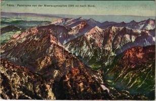 1913 Tátra, Magas-Tátra, Vysoké Tatry; Panorama von der Meeraugenspitze nach Nord / Rysy / Tengerszem-csúcs. Feitzinger Ede Ph. No. 1058. II. b. (EK)